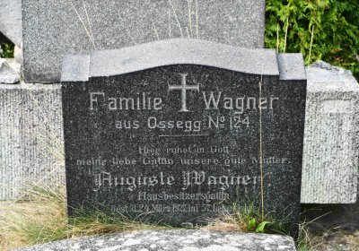 Osek - městský, Omnium, 2018