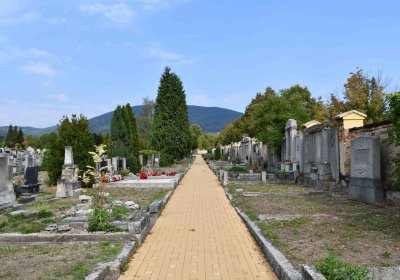 Osek - městský, Omnium, 2018