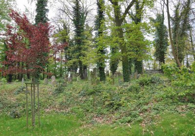 Židovský hřbitov Osek, Omnium, 2017