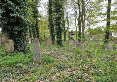 Židovský hřbitov Osek, Omnium, 2017