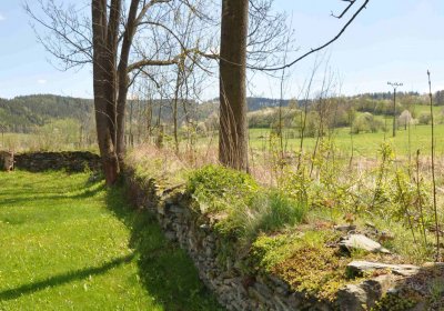 Hřbitov Holčovice, Omnium, 2017