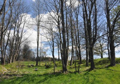 Hřbitov Dlouhá Ves, Omnium, 2017