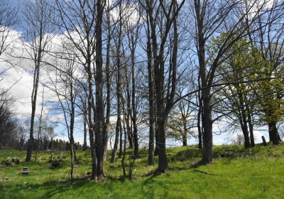 Hřbitov Dlouhá Ves, Omnium, 2017