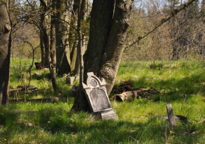 Hřbitov Dlouhá Ves, Omnium, 2017