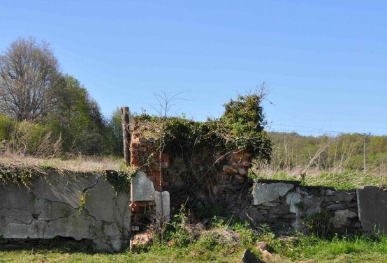 Hřbitov Janov u Krnova, Omnium, 2017