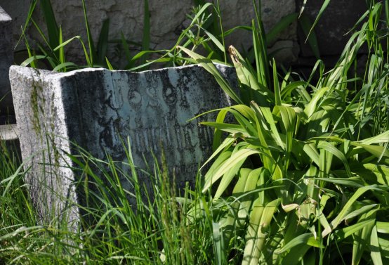 Hřbitov Janov u Krnova, Omnium, 2017