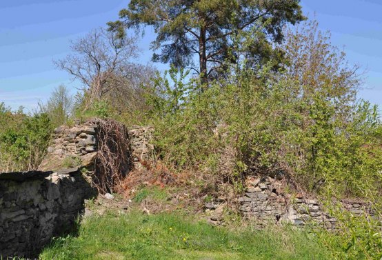 Hřbitov Janov u Krnova, Omnium, 2017