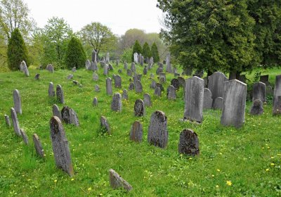 Židovský hřbitov Osoblaha, Omnium, 2017