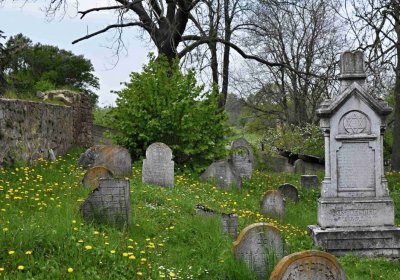 Židovský hřbitov Osoblaha, Omnium, 2017