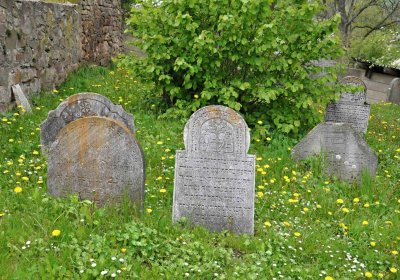 Židovský hřbitov Osoblaha, Omnium, 2017
