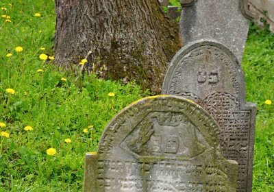 Židovský hřbitov Osoblaha, Omnium, 2017