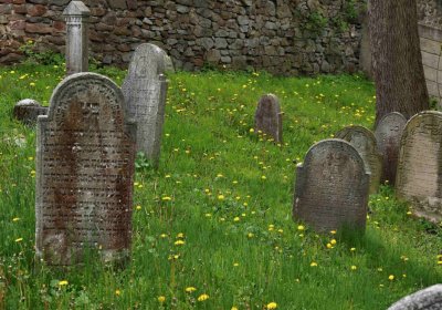 Židovský hřbitov Osoblaha, Omnium, 2017