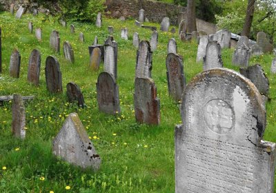 Židovský hřbitov Osoblaha, Omnium, 2017