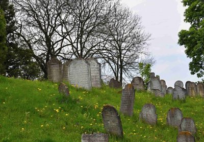 Židovský hřbitov Osoblaha, Omnium, 2017