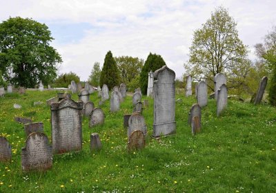 Židovský hřbitov Osoblaha, Omnium, 2017