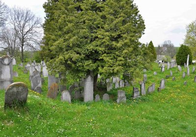 Židovský hřbitov Osoblaha, Omnium, 2017