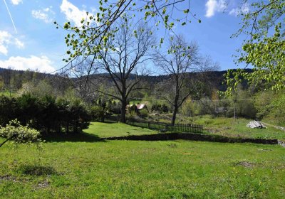 Hřbitov Petrovice, Omnium, 2017