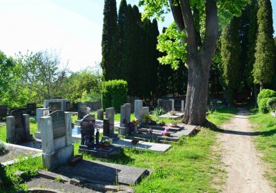 Evangelický hřbitov Choceň, Šimůnek Tomáš, 2017