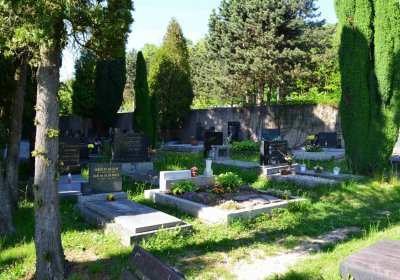 Evangelický hřbitov Choceň, Šimůnek Tomáš, 2017