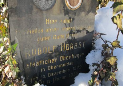 Horní Vltavice, Ocelák Radek, 2016