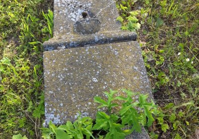 Kmínek Michal, 2019