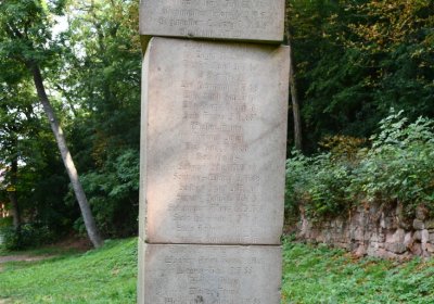 Kryry u kostela, Omnium, 2020
