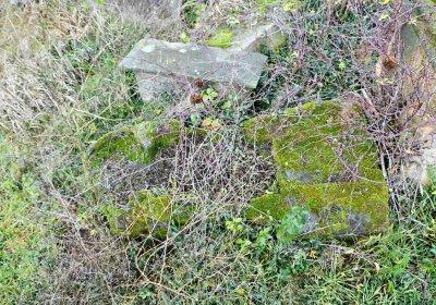 Omnium, 2017