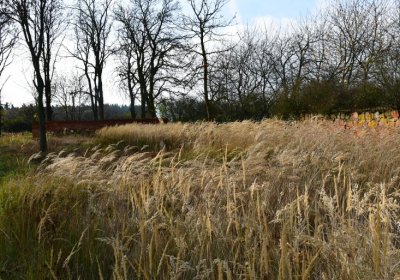 Podbořany židovský, Omnium, 2020