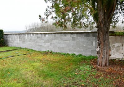 Soběchleby obecní, Omnium, 2020