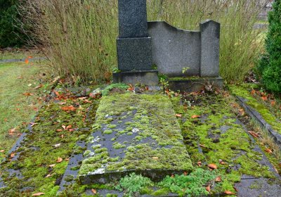 Soběchleby obecní, Omnium, 2020