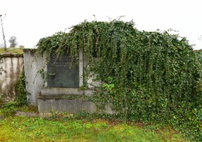 Soběchleby obecní, Omnium, 2020