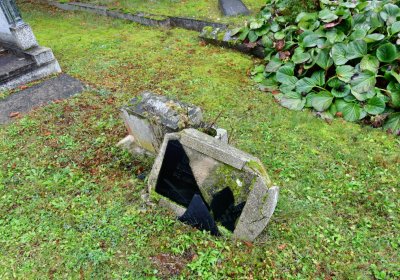 Soběchleby obecní, Omnium, 2020