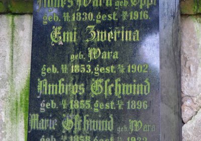 Soběchleby obecní, Omnium, 2020