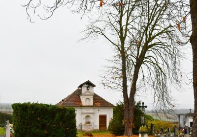 Soběchleby obecní, Omnium, 2020