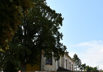 Vroutek u kostela, Omnium, 2020