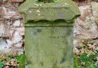 Siřem u kostela, Omnium, 2020