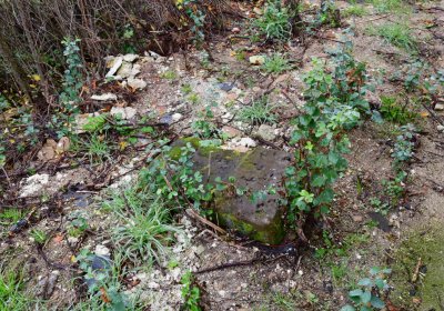 Siřem u kostela, Omnium, 2020