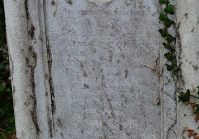 Siřem u kostela, Omnium, 2020