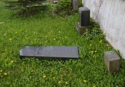 Břehovská Dáša, 2017