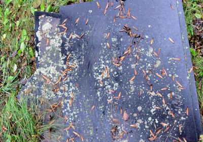 Malá Černoc, Omnium, 2020