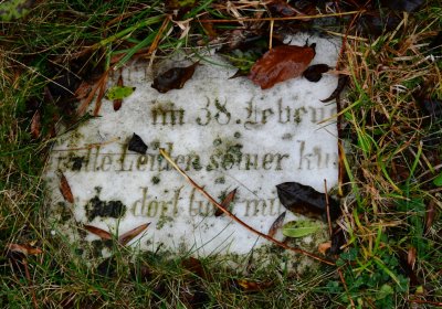 Malá Černoc, Omnium, 2020