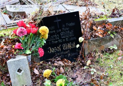 Malá Černoc, Omnium, 2020