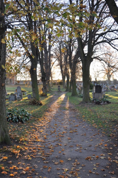 Tuchořice