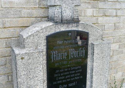 Stebno u Petrohradu, Omnium, 2020