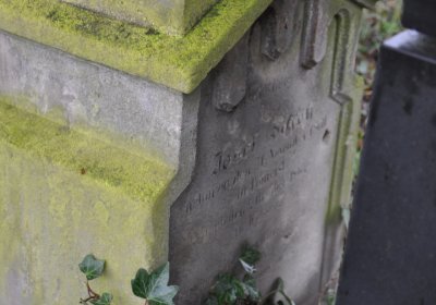 Běsno, Omnium, 2020