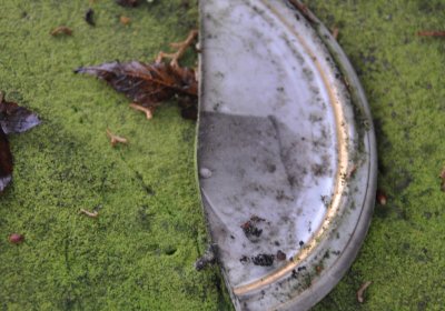 Běsno, Omnium, 2020