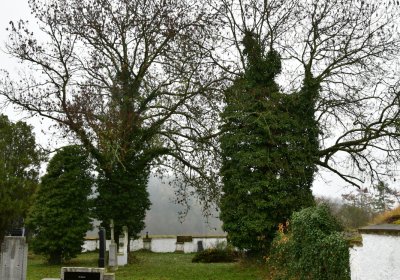 Běsno, Omnium, 2020