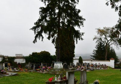 Běsno, Omnium, 2020