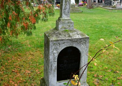 Běsno, Omnium, 2020