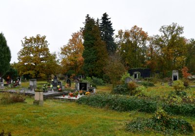 Měcholupy, Omnium, 2020